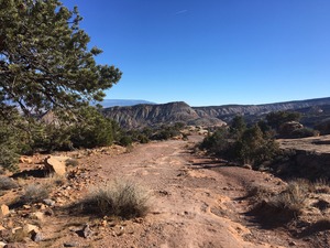 Serpent's Trail